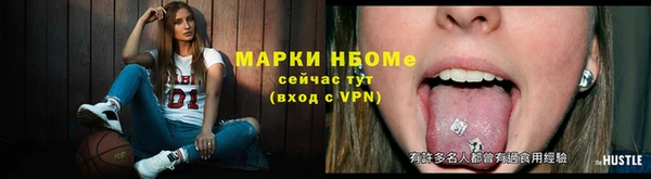 шишки Анива