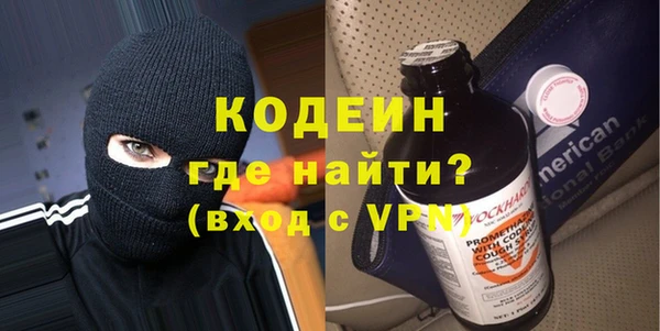 шишки Анива